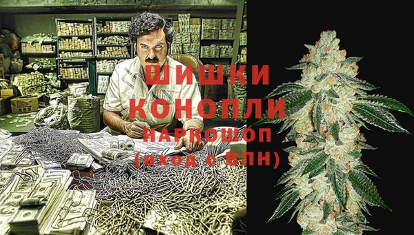 крисы Верея