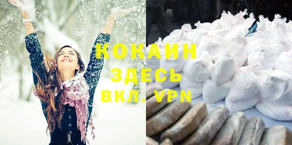 индика Волосово