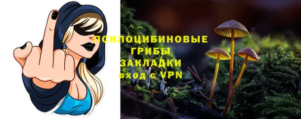 крисы Верея