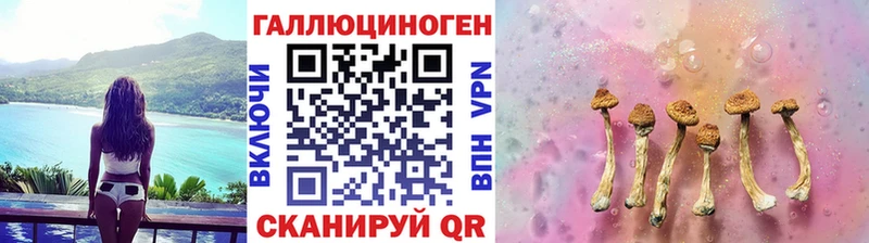 сколько стоит  Верхнеуральск  shop наркотические препараты  Псилоцибиновые грибы Cubensis 